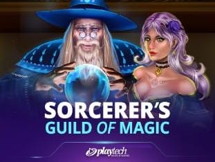 Sorcerer's Guild Of Magic game cover